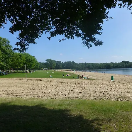 Holiday park Bungalowpark De Riethorst