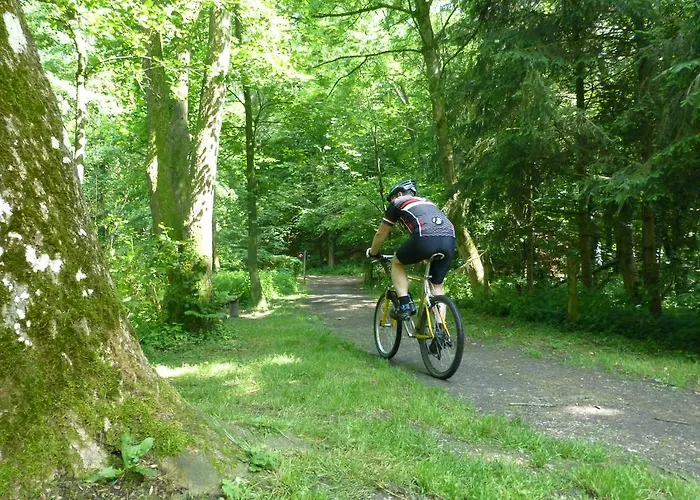 Parque de vacaciones Bungalowpark De Riethorst Mook