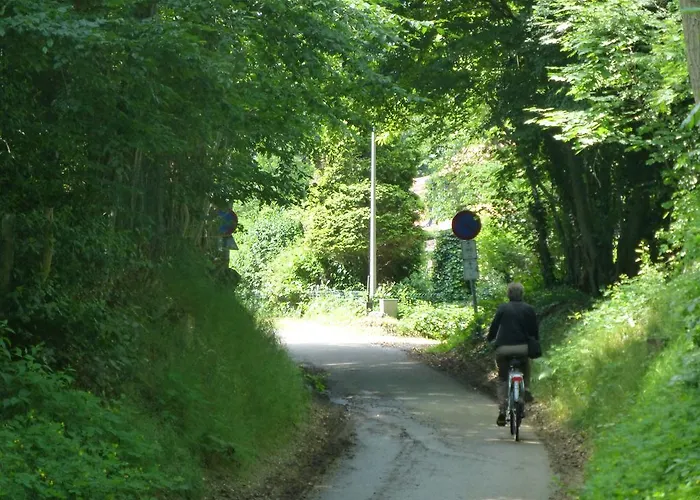 Parque de vacaciones Bungalowpark De Riethorst *