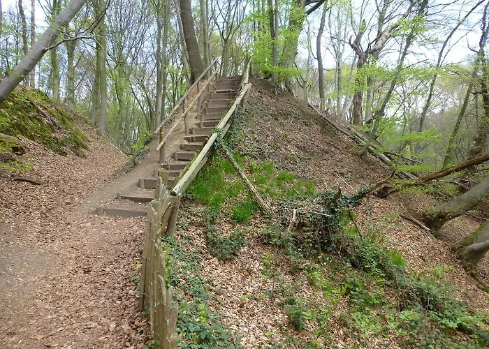 Bungalowpark De Riethorst Mook