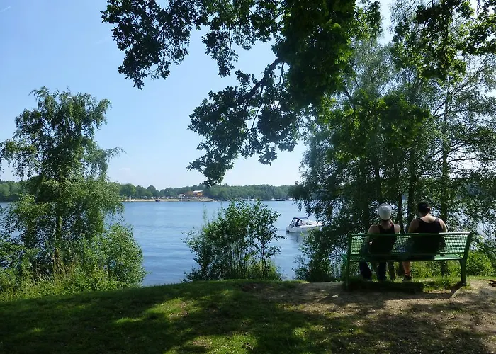 Parque de vacaciones Bungalowpark De Riethorst