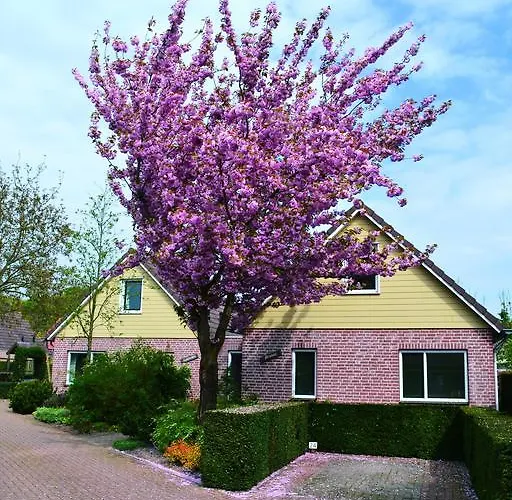 Parque de vacaciones Bungalowpark De Riethorst Mook