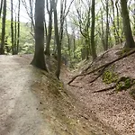 פארק נופש Bungalowpark De Riethorst Mook