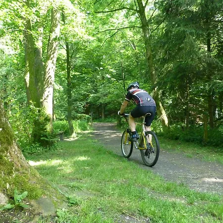 ホリデーパーク Bungalowpark De Riethorst Mook