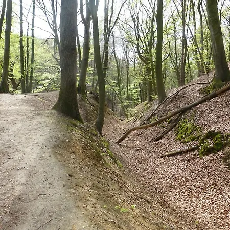 Prázdninový areál Bungalowpark De Riethorst Mook