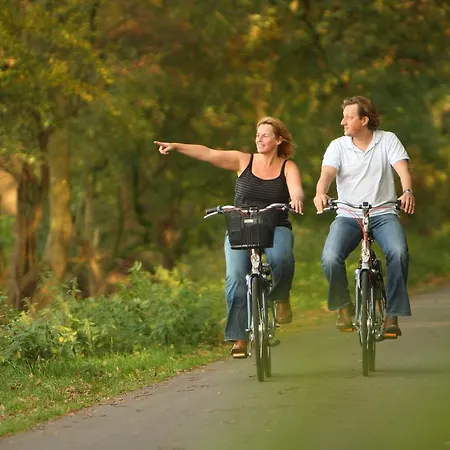 Prázdninový areál Bungalowpark De Riethorst Mook