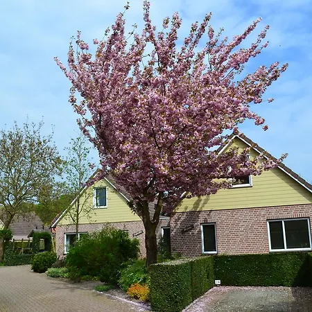 Bungalowpark De Riethorst Mook