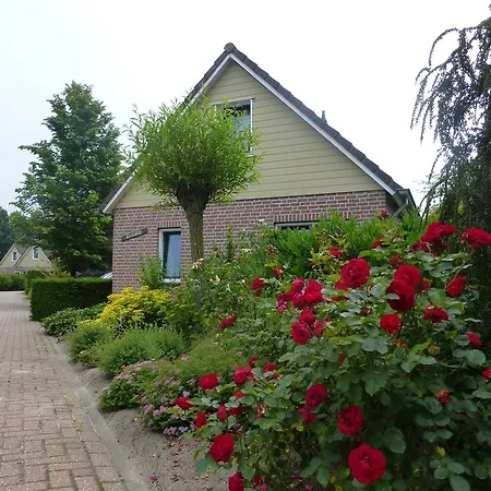 פארק נופש Bungalowpark De Riethorst