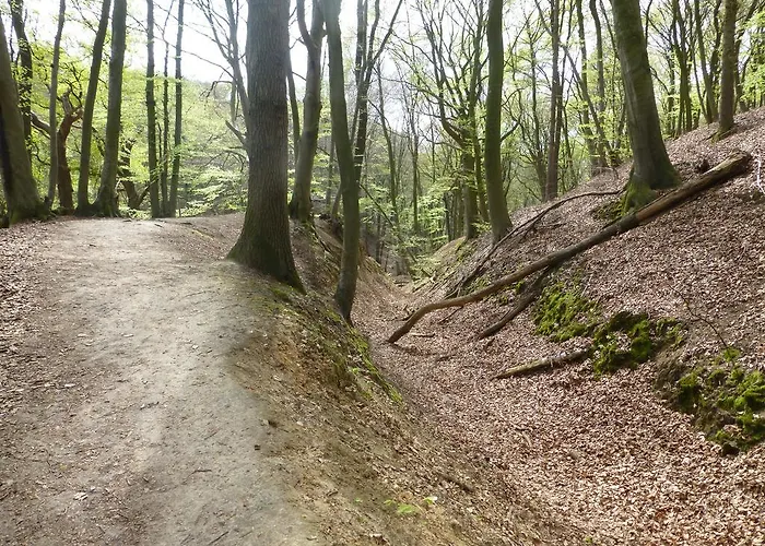 ホリデーパーク Bungalowpark De Riethorst Mook