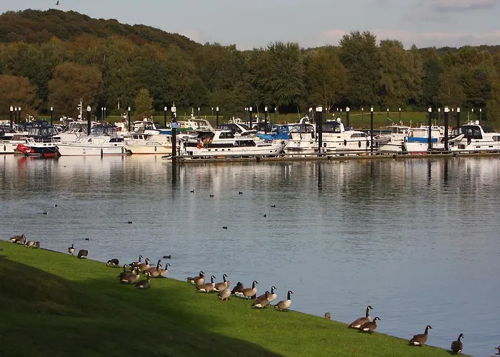 ホリデーパーク Bungalowpark De Riethorst