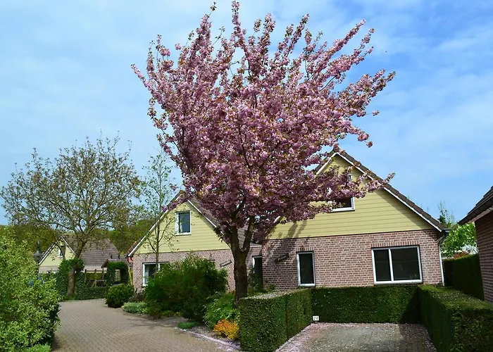 Bungalowpark De Riethorst Mook