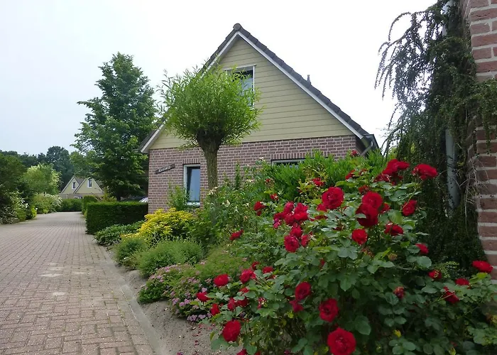 ホリデーパーク Bungalowpark De Riethorst